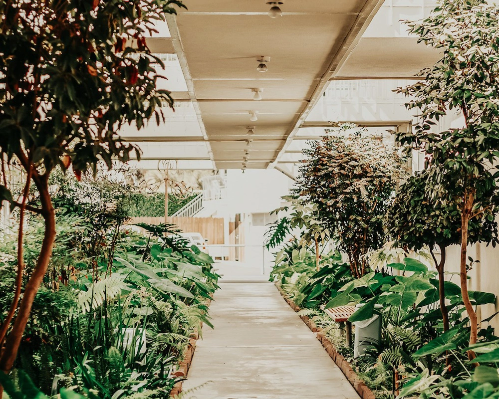 outdoor view - long beach dental health